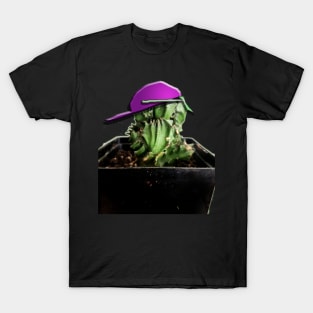 Cool Cactus T-Shirt